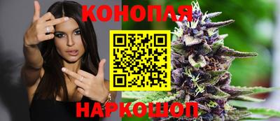 сатива Нарткала