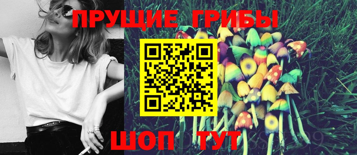 Кореновск  Галлюциногенные грибы мицелий  Вход с VPN 