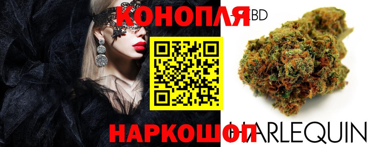 Бошки марихуана AK-47  Вход с VPN  Бошки Шишки индика  Кореновск  Конопля OG Kush 